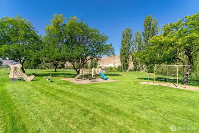 Park Amenities