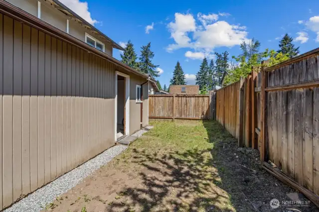 Backyard