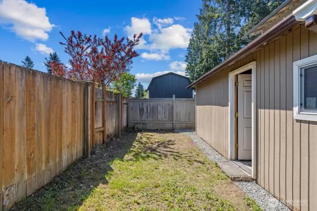 Another view of the backyard