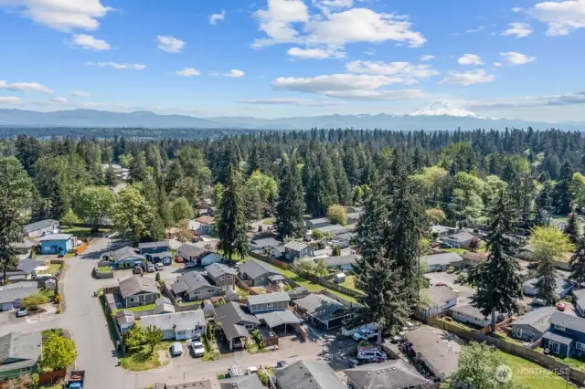 Aerial view of the community