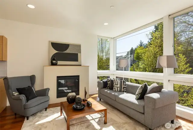 Gas fireplace and ceiling-to-floor windows