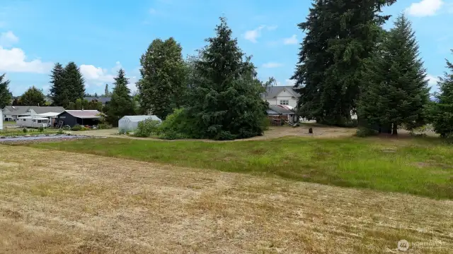 Level land with tall evergreens providing summer shade.