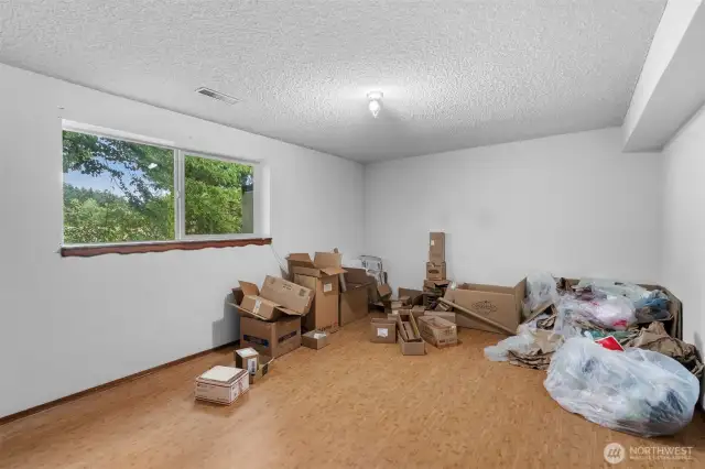 One of the two large bedrooms on the lower level, currently being used as storage space.