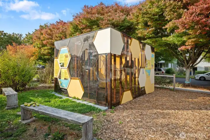Bee Garden inside High Commons Park