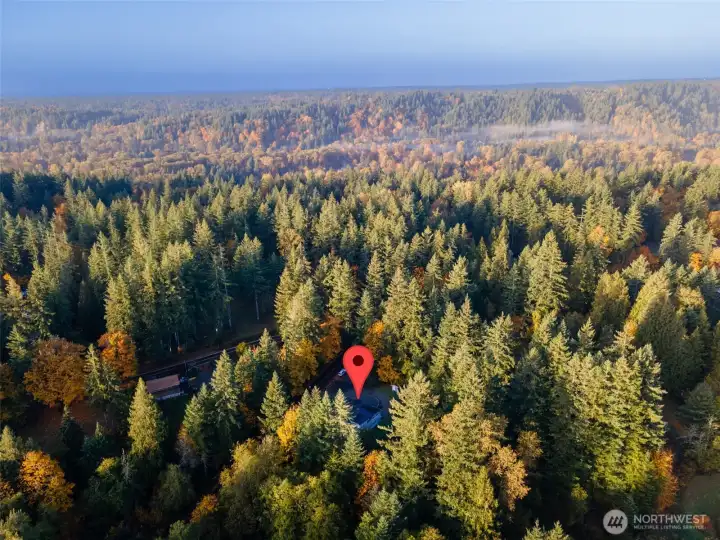 Cuddled by mature evergreens.