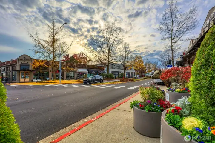 Enjoy Shops/Restaurants in Beautiful Downtown Kirkland, closeby.