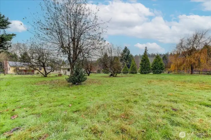 View from the pasture