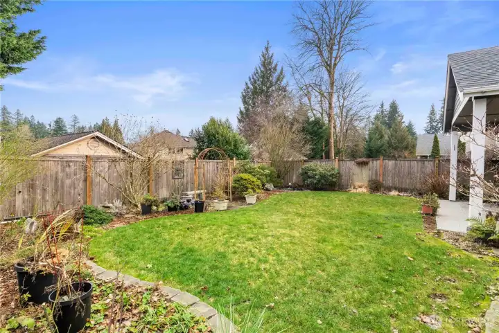 Flat backyard and fully fenced