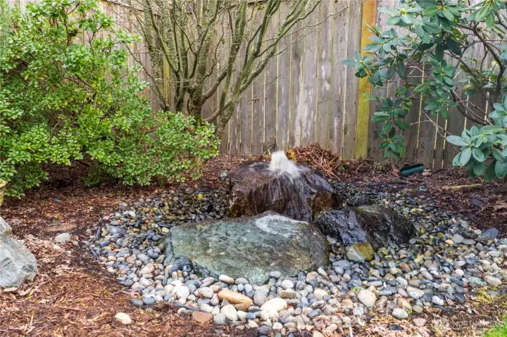 Water feature!