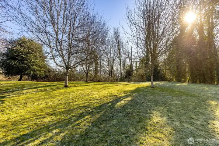 Large back area for Lot 4