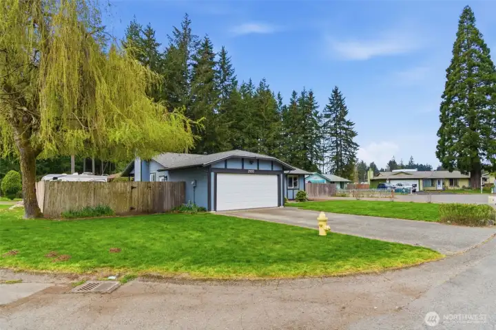 Picture with the neighborhood's favorite tree Picture with the neighborhood's favorite tree