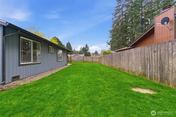 Play catch? Play catch?