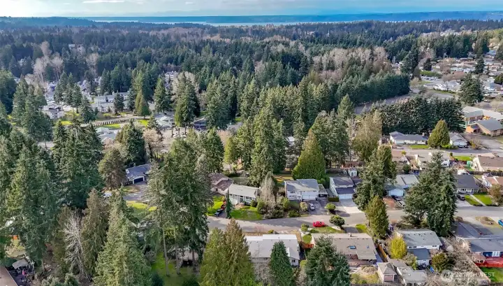 In the heart of Federal Way