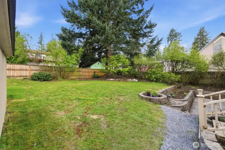 View of spacious back yard.
