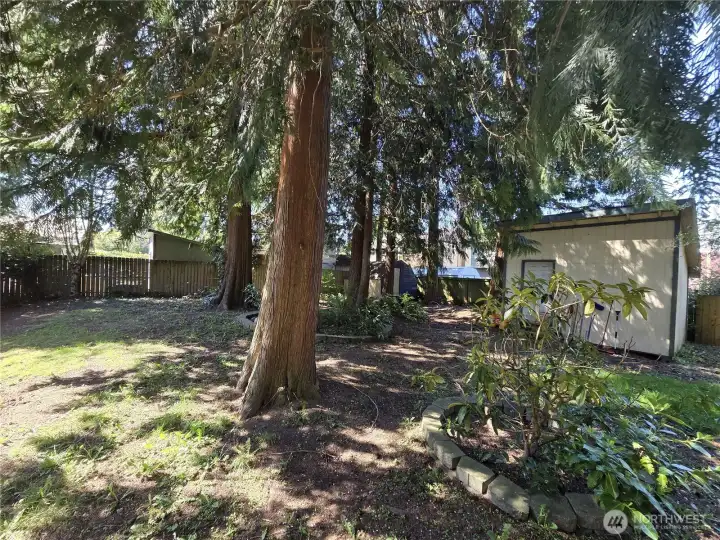 In the spacious back yard, there are 2 storage sheds.