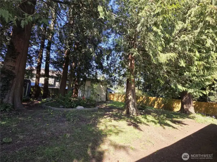The sheds are along the back fence ... running all around the yard, means privacy.