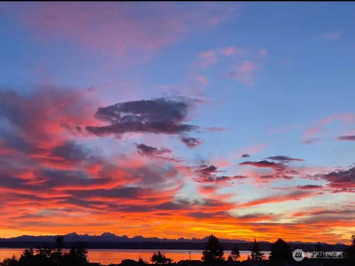 and more Views!