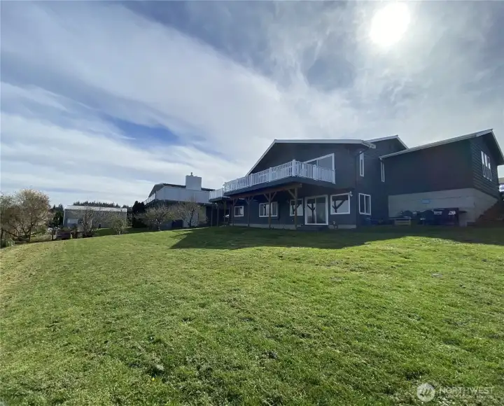 Large back yard with Fruit Trees