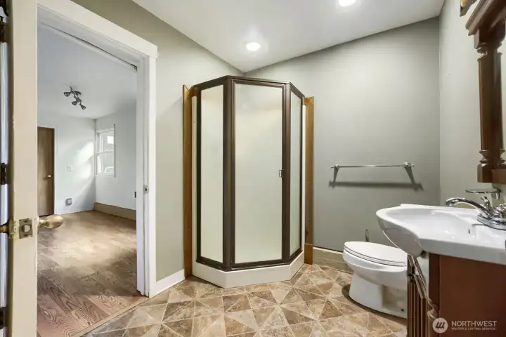 Lower level bathroom