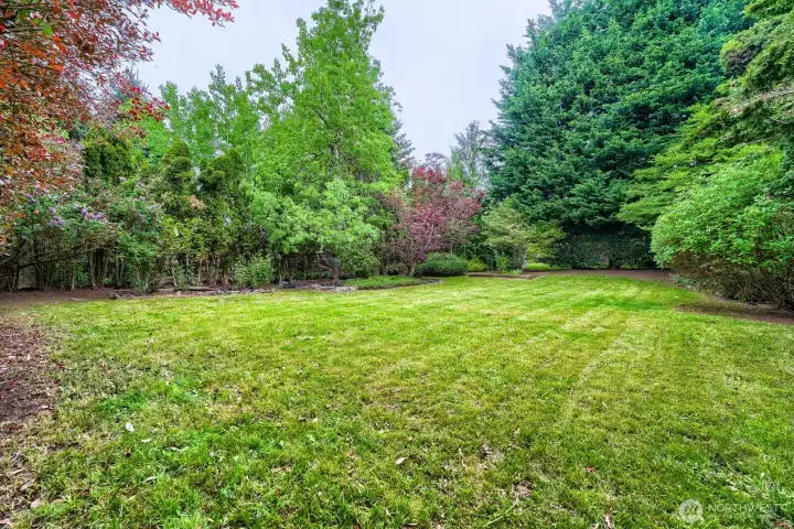 The yard is secluded, quiet, and has room for gardens, toys, and great family gatherings-16553 sq ft.