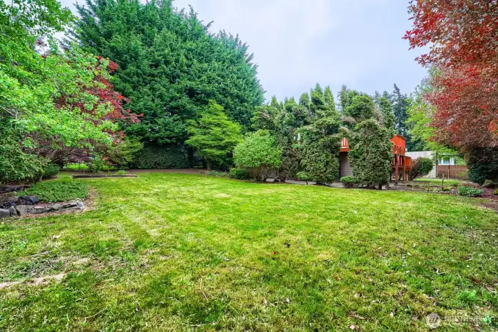 Another view of the yard