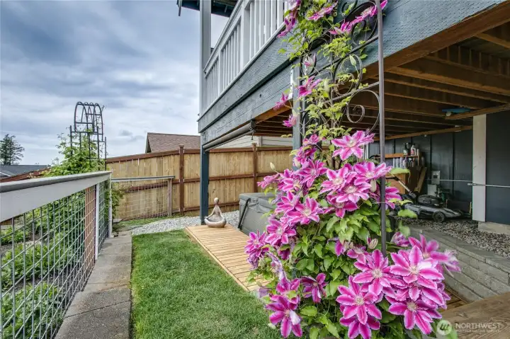 "The clematis is in bloom again,"  Katherine Hepburn, 1937