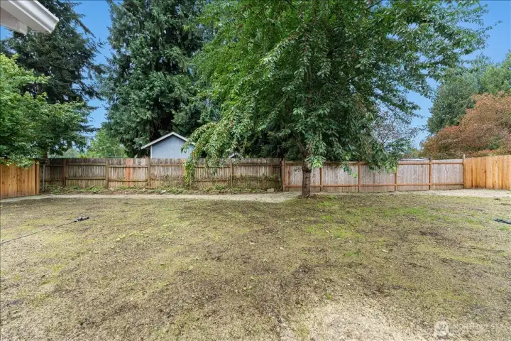 Enjoy a spacious backyard shaded by mature trees, creating the perfect backdrop for outdoor fun and quiet evenings alike.