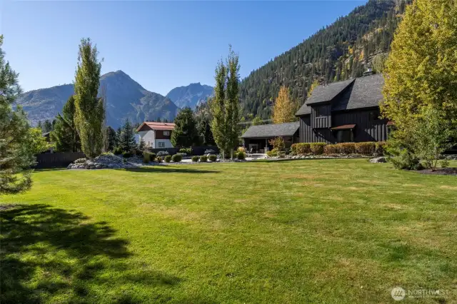 Lush lawn