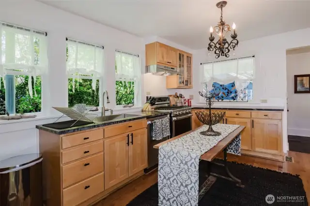 Stainless Sink and appliances.