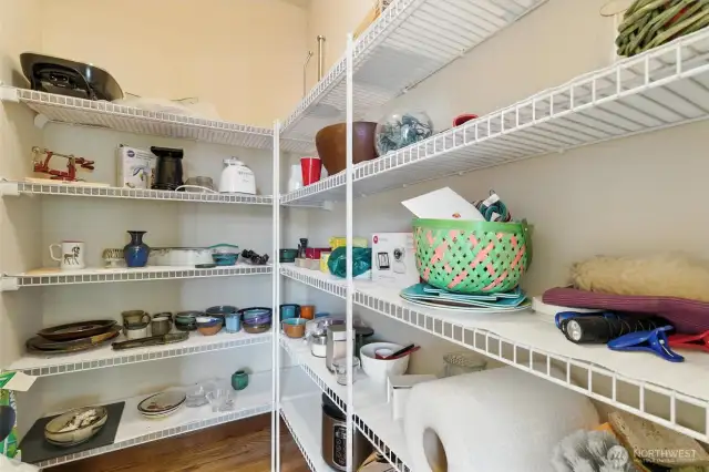 Walk-in Pantry off the kitchen