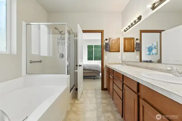 Primary bathroom with separate shower and soakr tub