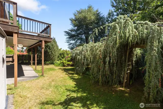 Backyard view of the covered lower patio, the upper deck and the mature landscaping.