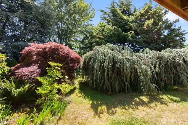 This is a gardener's dream!