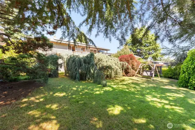 Plenty of spaces to enjoy in this private back yard; even a swing included!