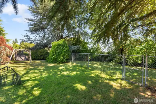 Fenced back yard.