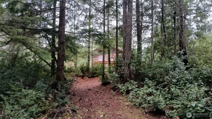 heading out of trail, back to log home