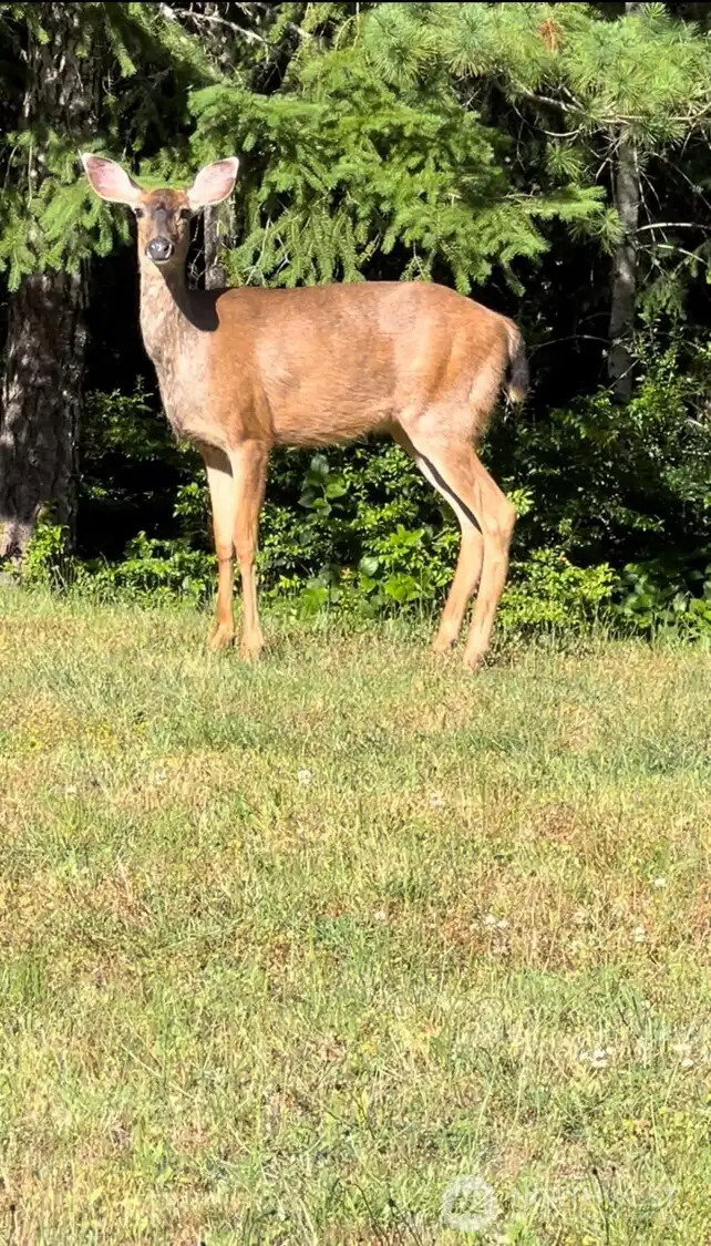 just walking through:)