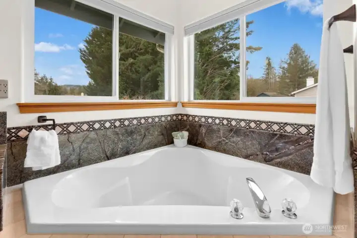 Large corner tub in primary bath