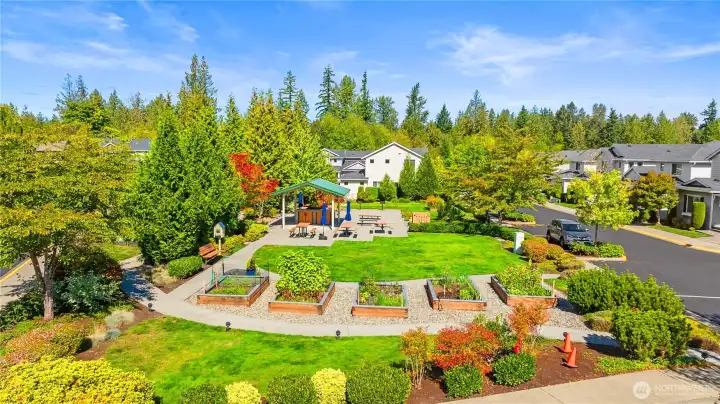 Common garden bed in summer time bloom