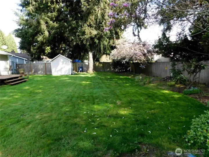 Huge Private Yard