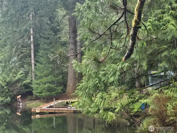 Lake view