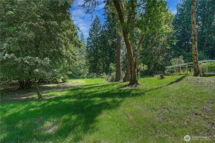 Big side yard, the beauty of two lots.