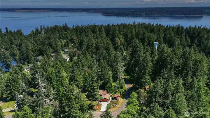 Anderson island across the water from Steilacoom
