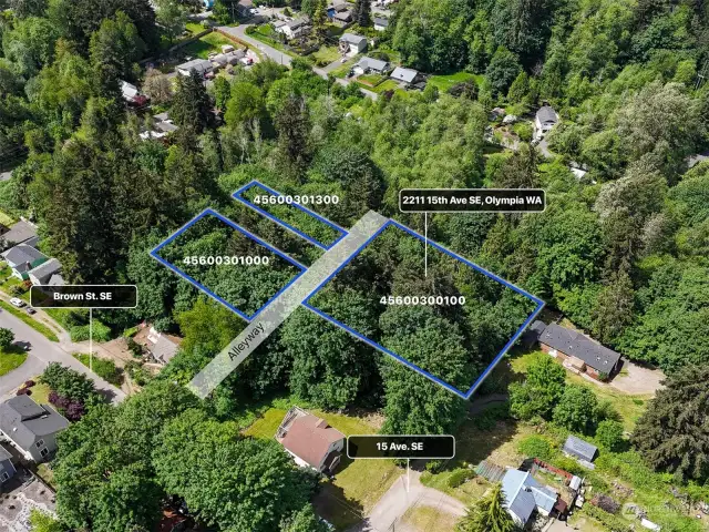 Development opportunity! Three separate lots adding to a shy one acre sum of land. Blue property lines are approximate. Buyer to verify to their own satisfaction.