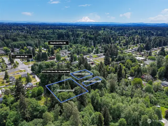 Located within the City of Olympia jurisdiction, zoned R 4-8, allowing for single family, duplex, triplex, or fourplex. Blue property lines are approximate. Buyer to verify to their own satisfaction.