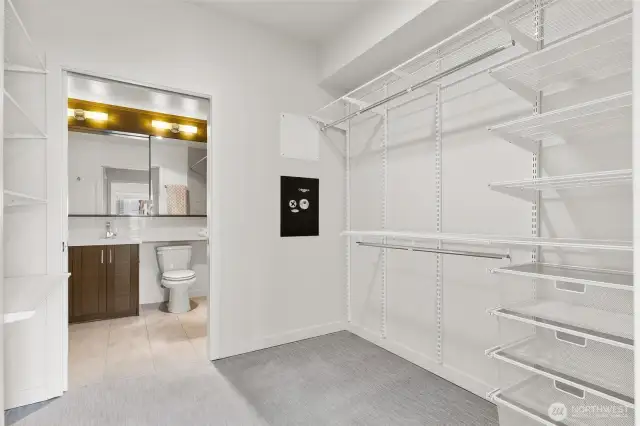 Huge walk-in Closet and secure sage