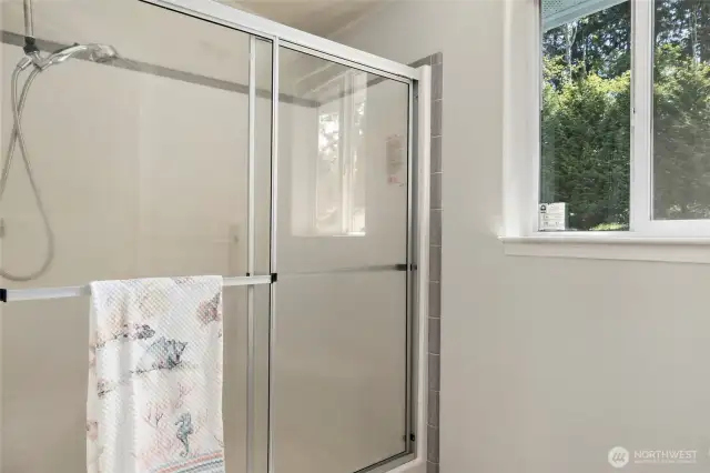 The primary bathroom shower.