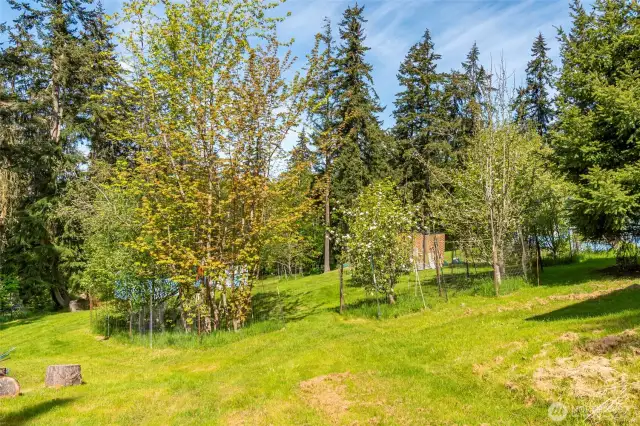 The property has some fruit trees.