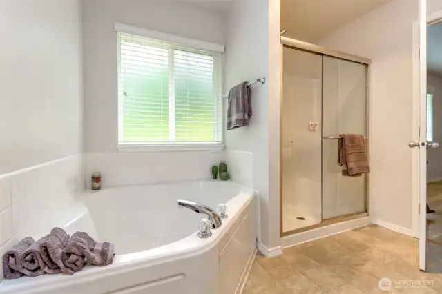 Primary bathroom super soaking tub!