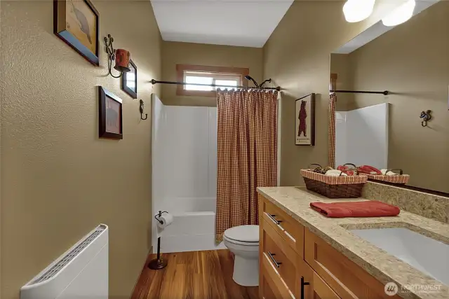 Secondary bath in main house. So cute!